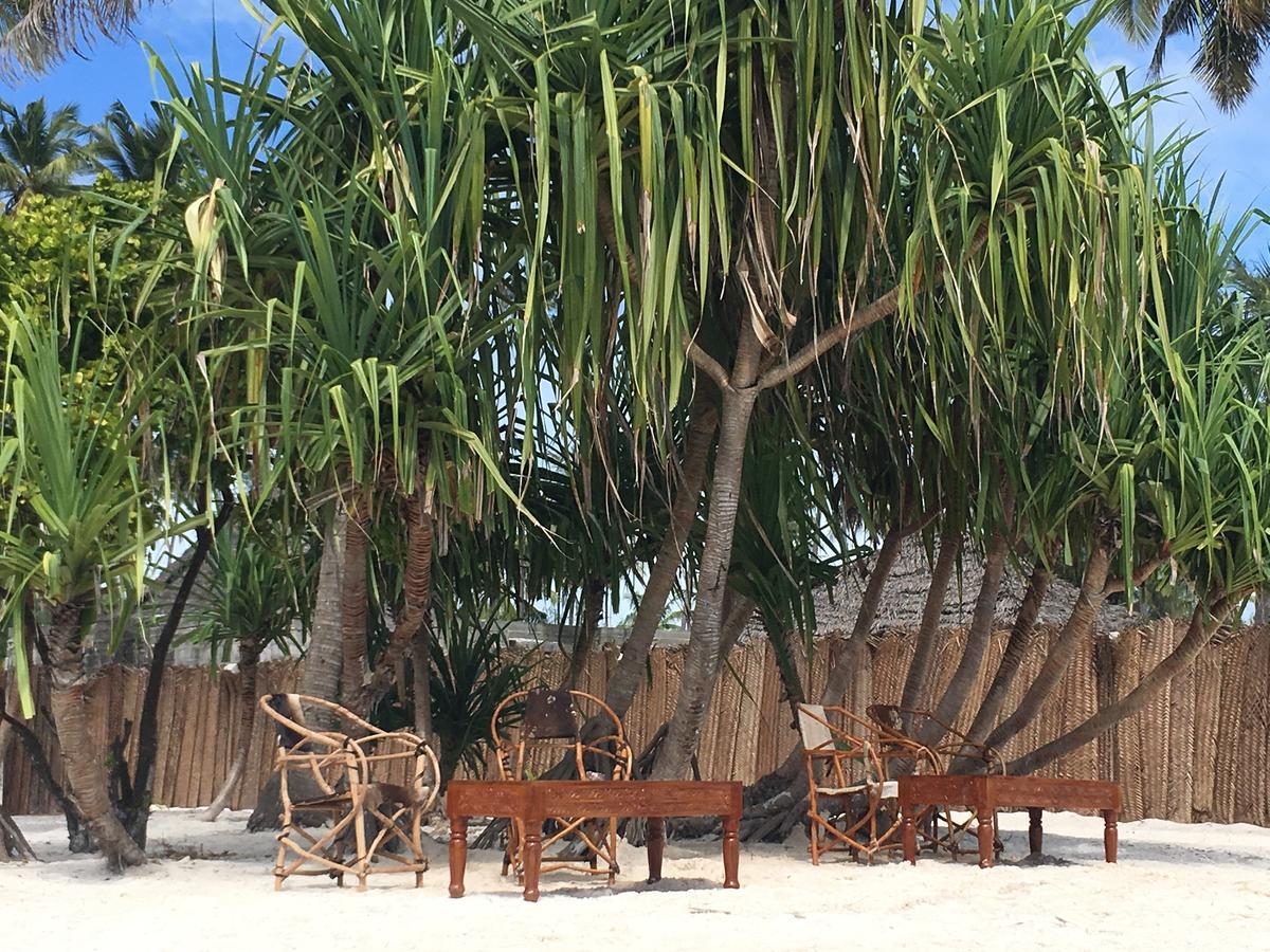 Emma Bay Beach House Michamvi Exterior foto